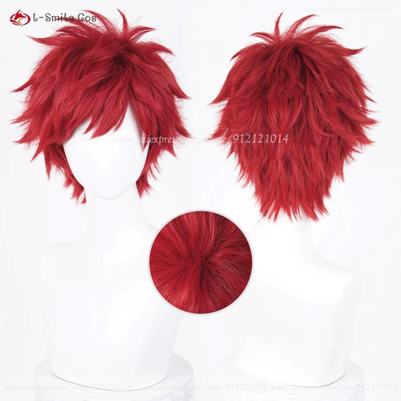 Anime Reinhard Van Astrea Cosp - Anime Cosplay With Red Hair review and price