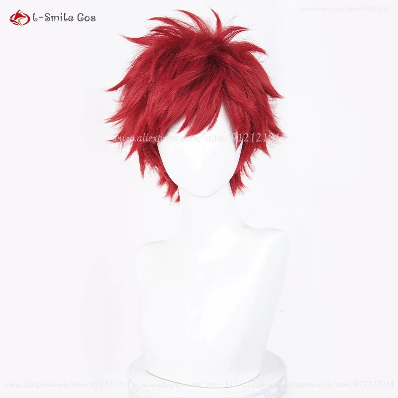 Anime Reinhard Van Astrea Cosp - Anime Cosplay With Red Hair review and price
