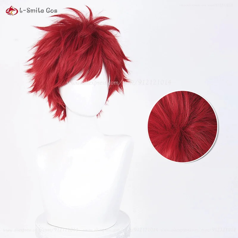 Anime Reinhard Van Astrea Cosp - Anime Cosplay With Red Hair review and price