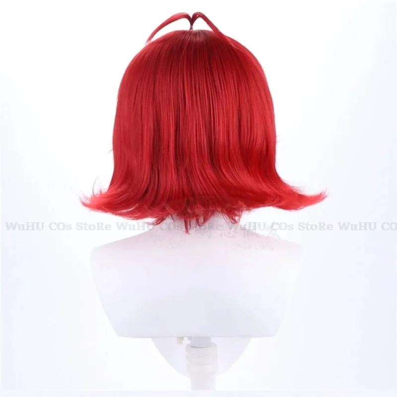 2025 hasbin Cos Niffty Wig Ani - Anime Cosplay With Red Hair review and price